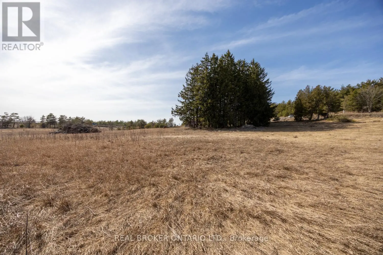 Part Lot 11 Concession 2 Manvers Part 3, Kawartha Lakes, Ontario  L0A 1K0 - Photo 3 - X11983084