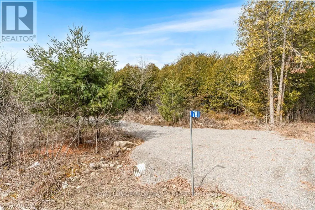 781 Carson Road, Centre Hastings, Ontario  K0K 3E0 - Photo 2 - X12075084