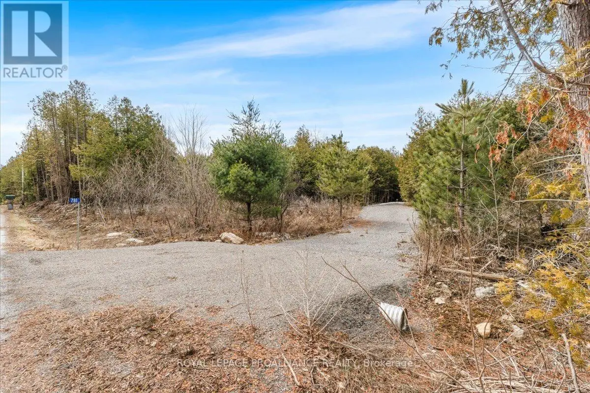 781 Carson Road, Centre Hastings, Ontario  K0K 3E0 - Photo 3 - X12075084
