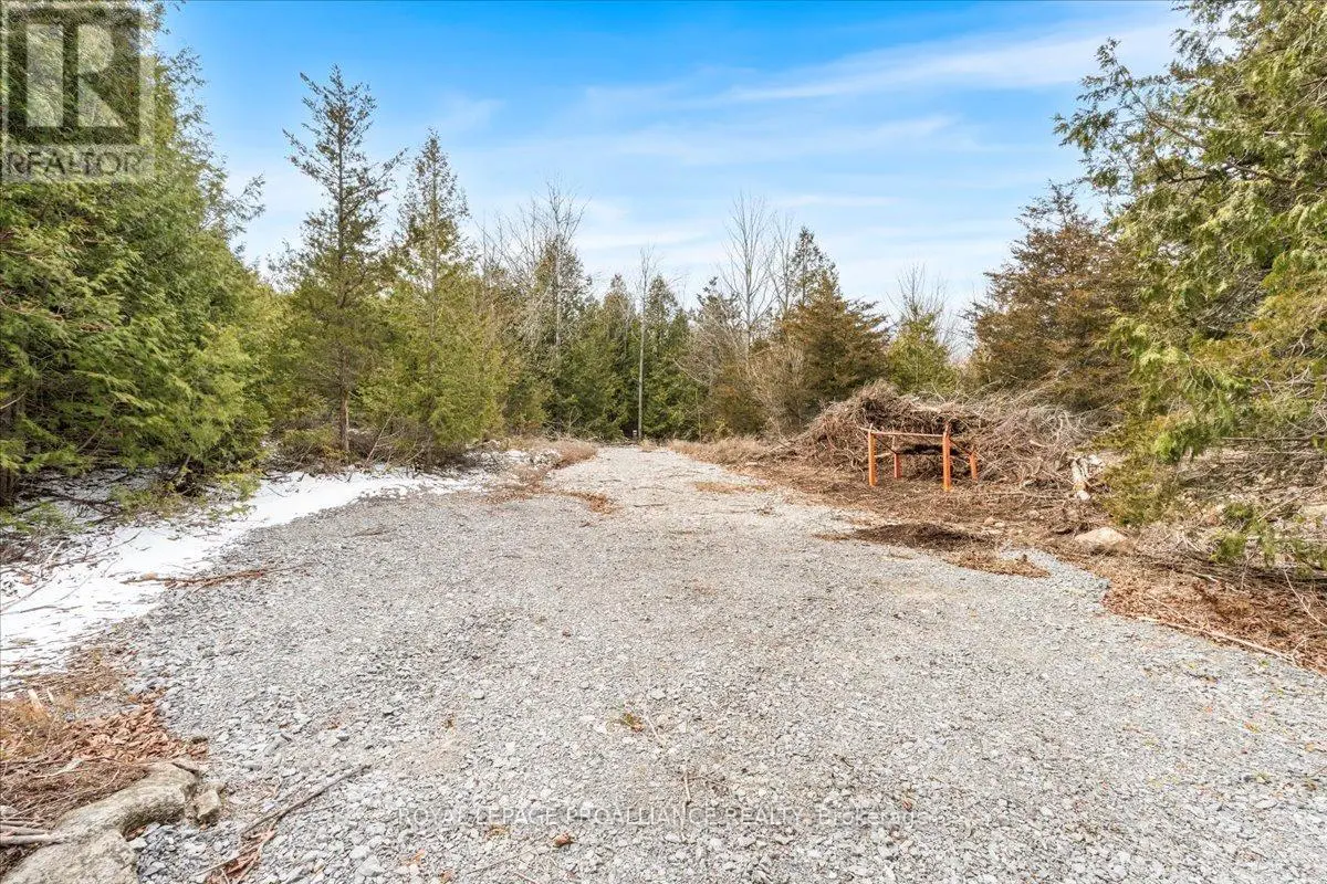 817 Carson Road, Centre Hastings, Ontario  K0K 3E0 - Photo 3 - X12075106