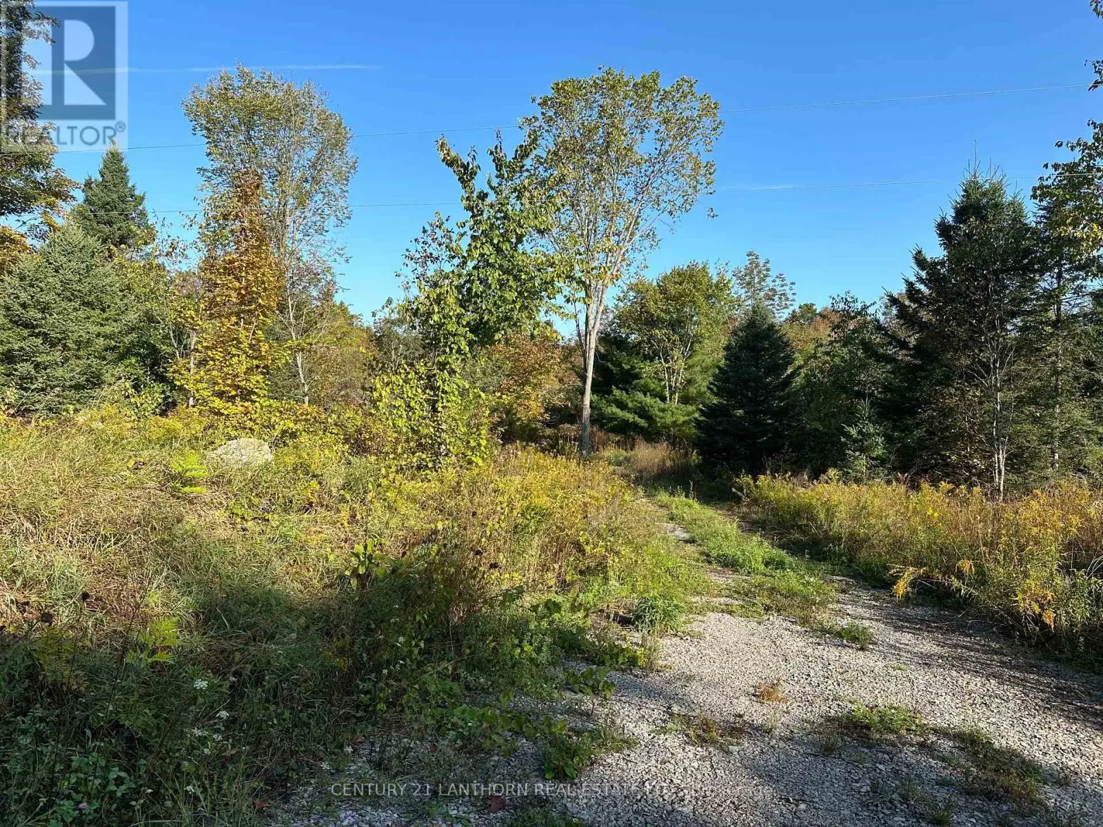 0 Bateman Road, Stirling-Rawdon, Ontario  K0K 3E0 - Photo 2 - X12077582