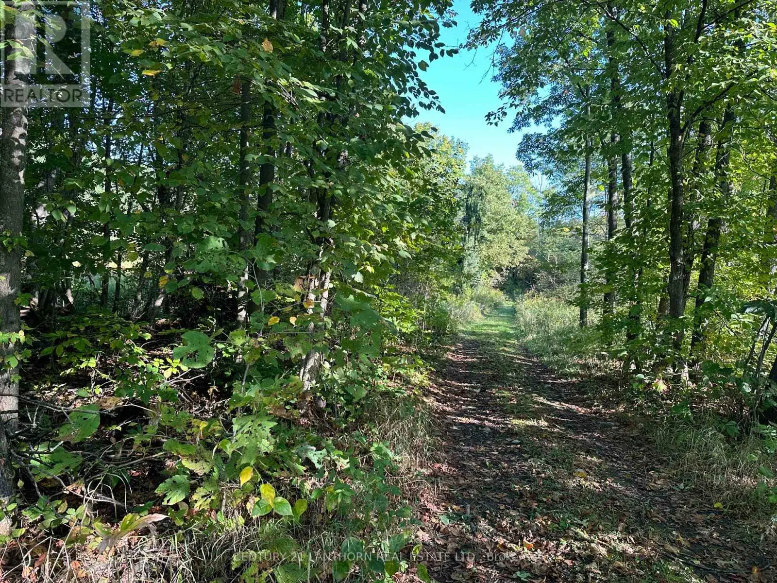 0 Bateman Road, Stirling-Rawdon, Ontario  K0K 3E0 - Photo 3 - X12077582