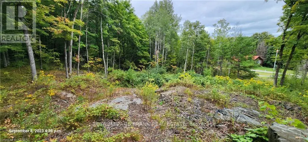 169 Northern Avenue, Trent Lakes, Ontario  K0M 1A0 - Photo 1 - X12078619