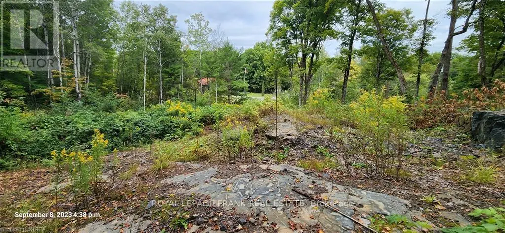 169 Northern Avenue, Trent Lakes, Ontario  K0M 1A0 - Photo 2 - X12078619