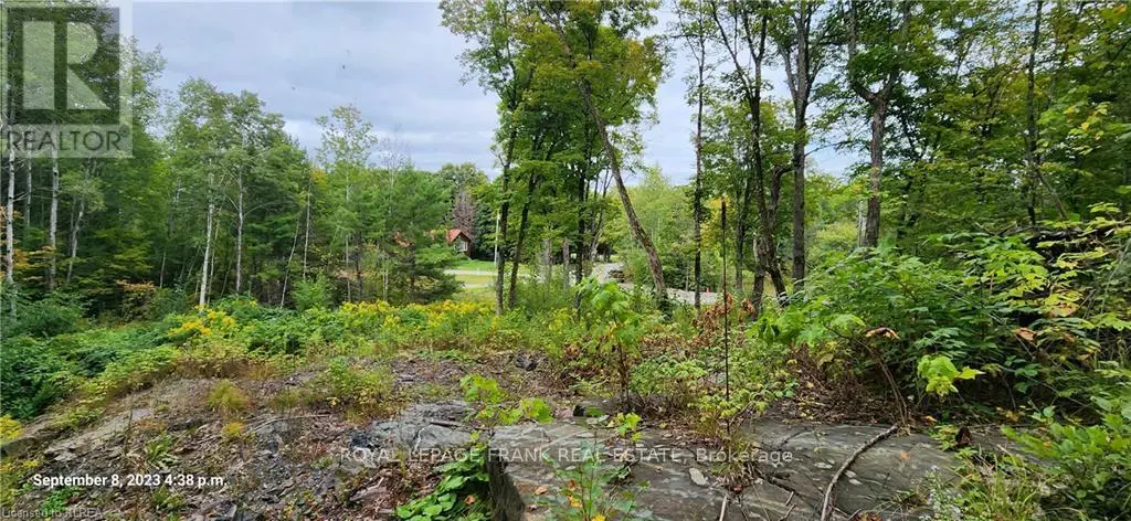 169 Northern Avenue, Trent Lakes, Ontario  K0M 1A0 - Photo 3 - X12078619