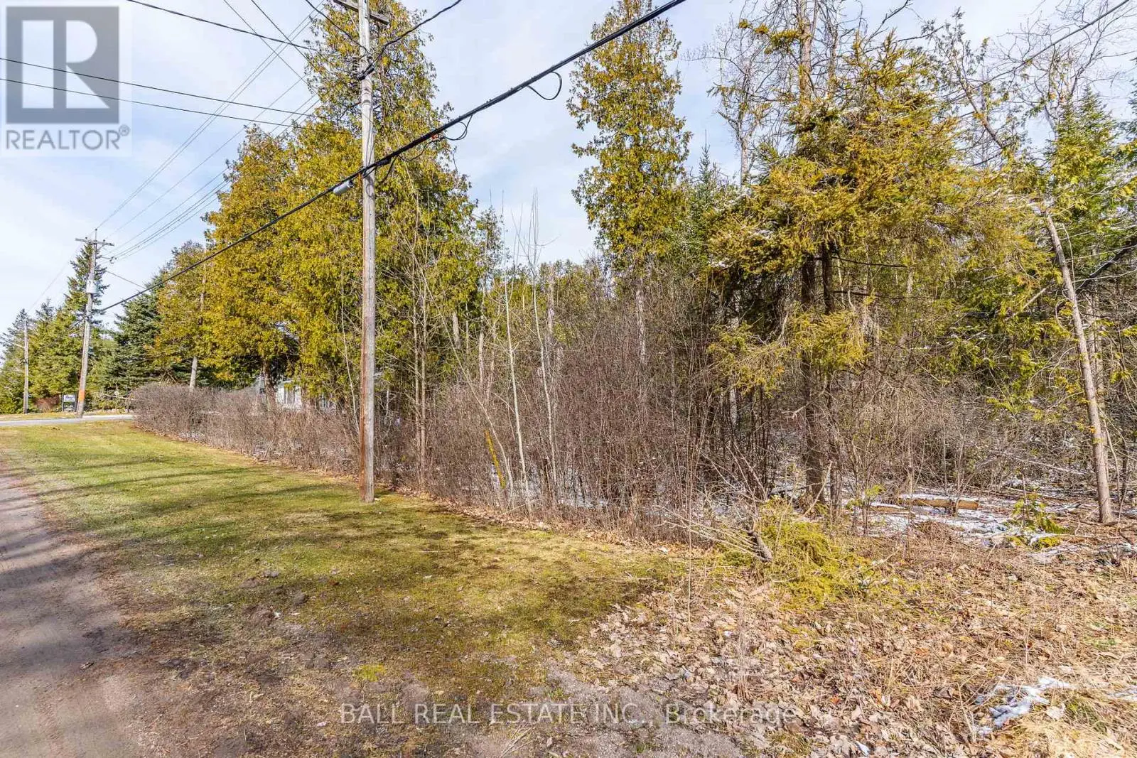 215 Front Street W, Kawartha Lakes, Ontario  K0M 1A0 - Photo 2 - X12081004