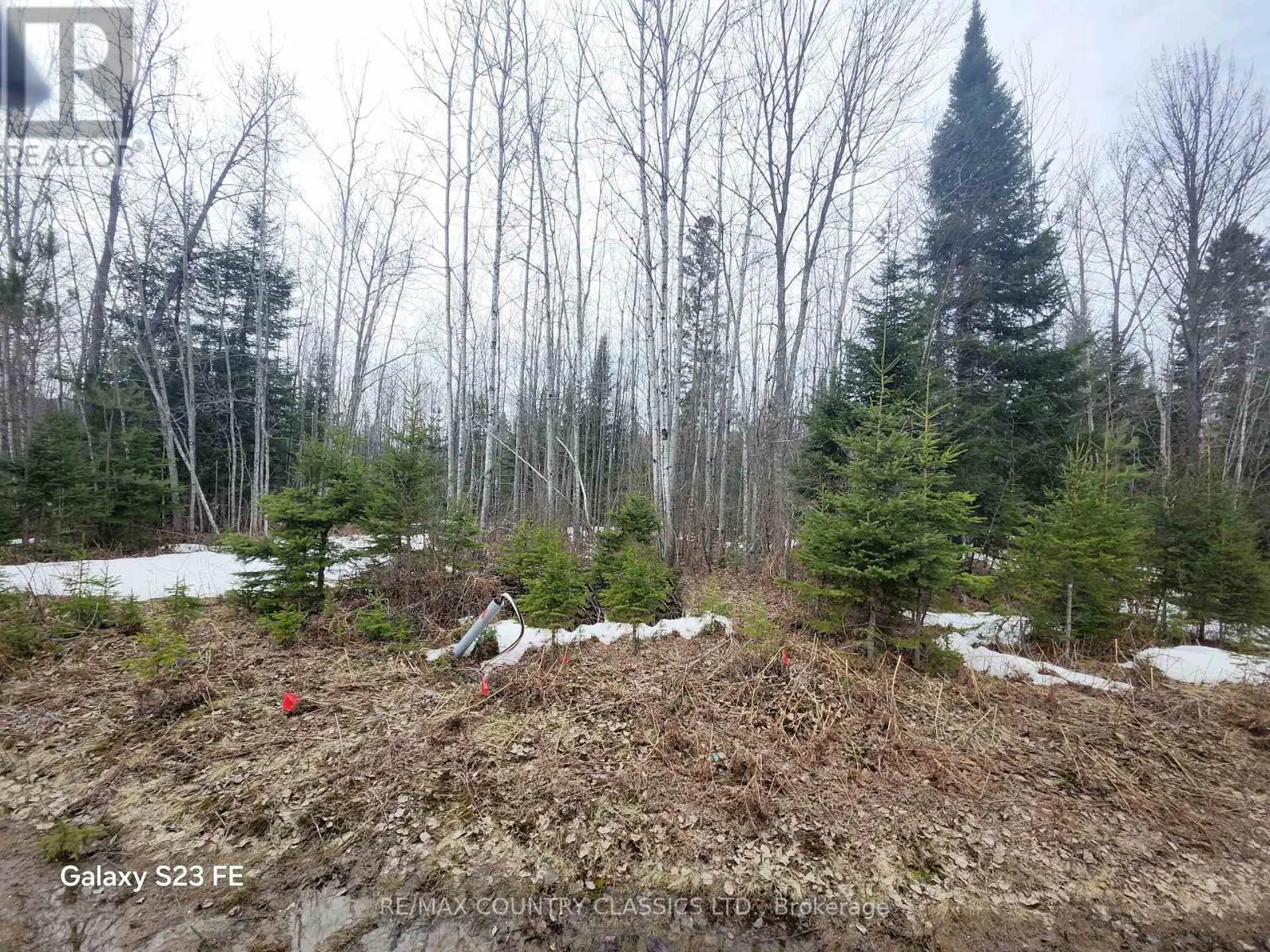 23 Nicklaus Drive, Bancroft, Ontario  K0L 1C0 - Photo 1 - X12081801