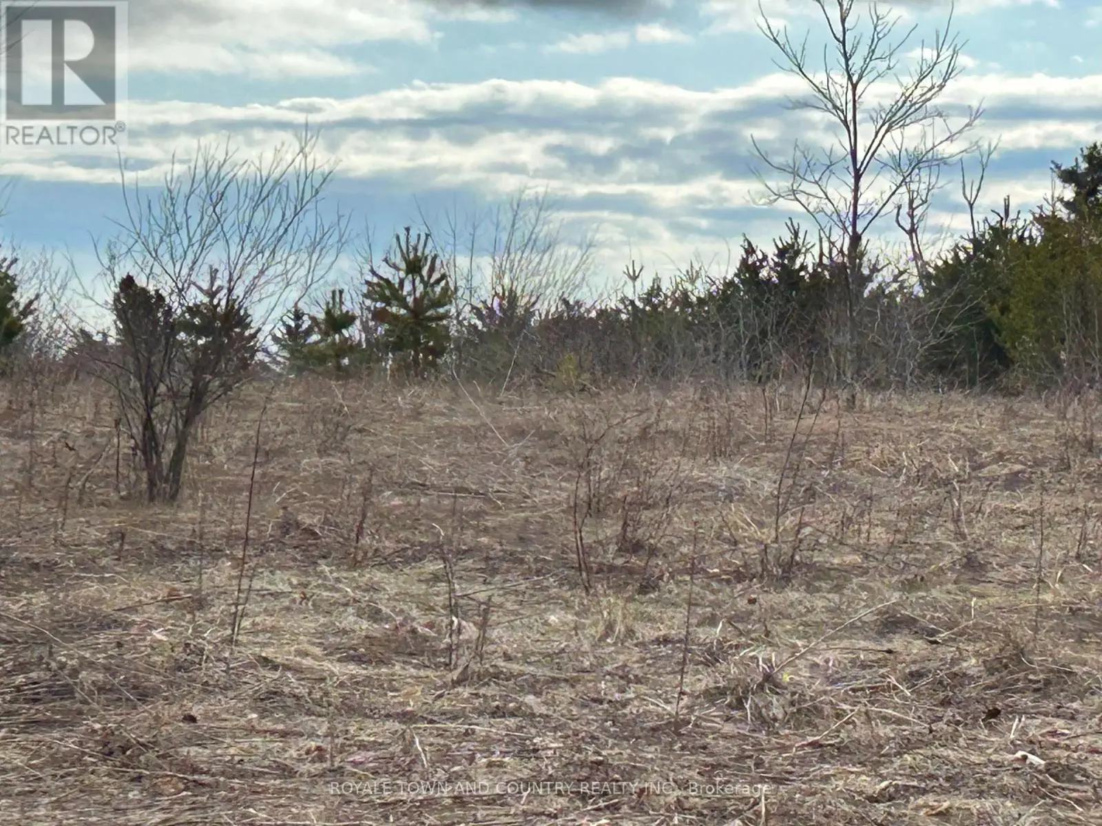 0 Pontypool Road, Kawartha Lakes, Ontario  L0A 1K0 - Photo 2 - X12081742