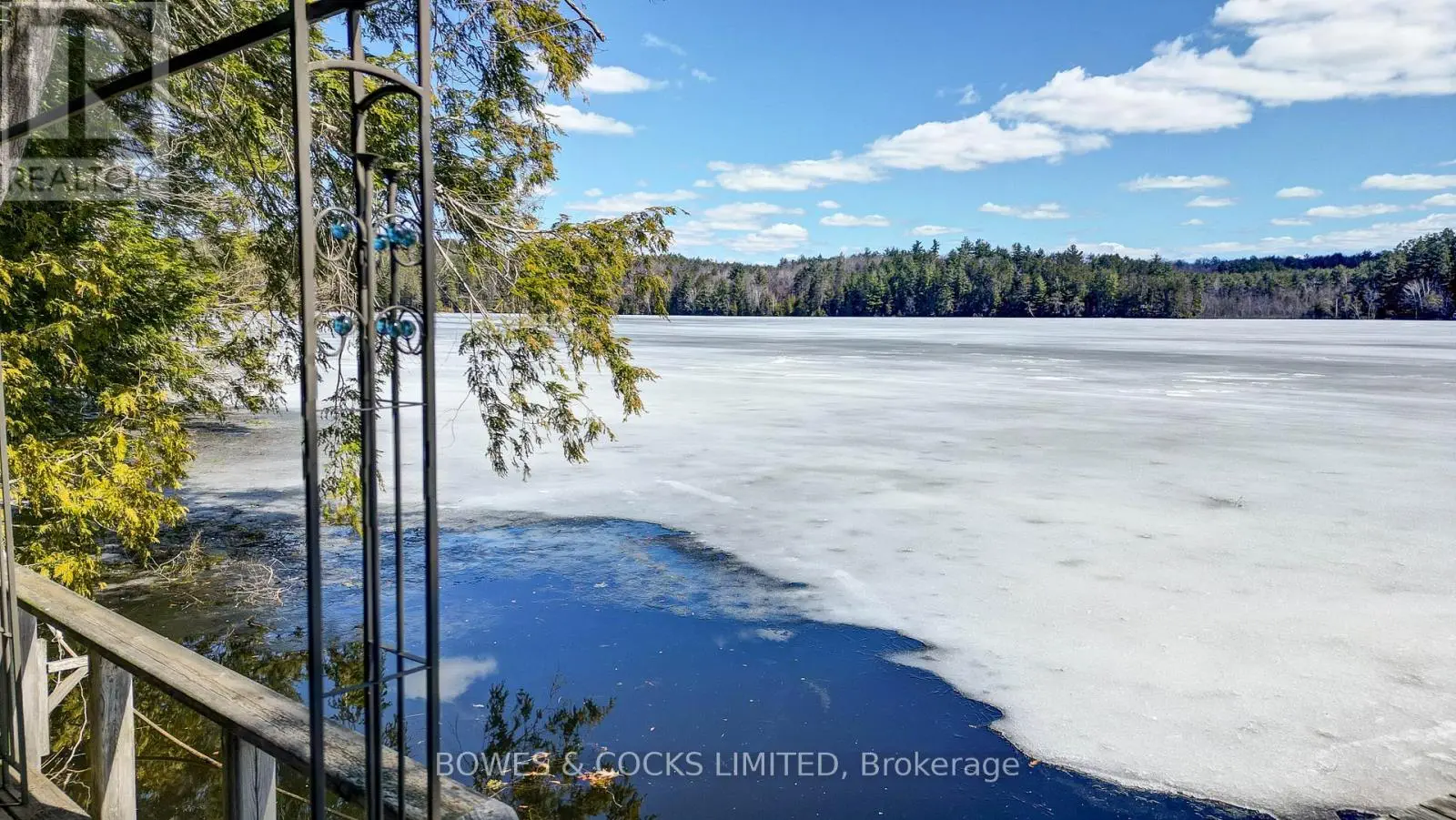 36 Daniels Lane, North Kawartha, Ontario  K0L 1A0 - Photo 3 - X12083490
