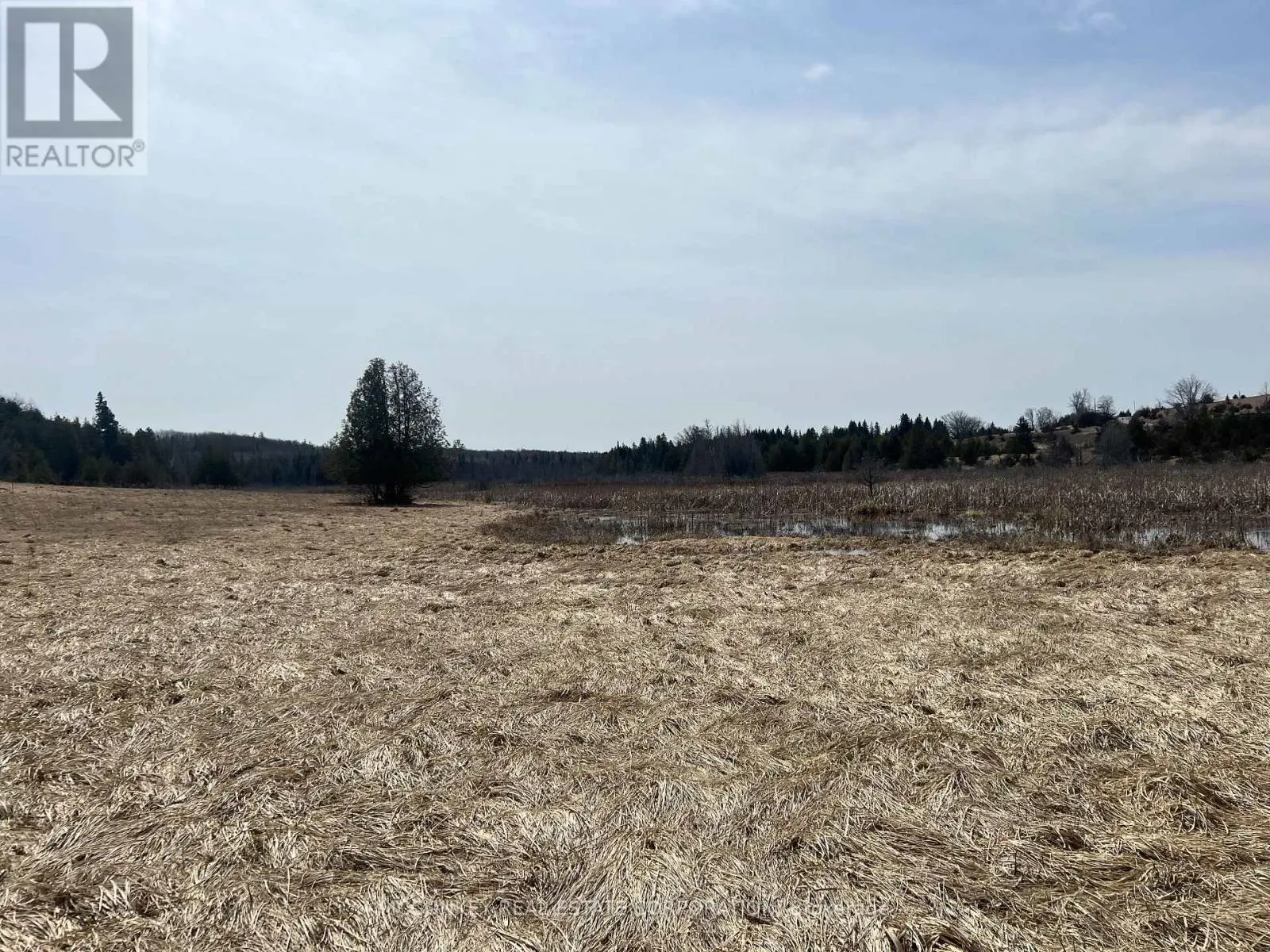 00 Concession Road 13 E, Trent Hills, Ontario  K0L 1Y0 - Photo 2 - X12083814