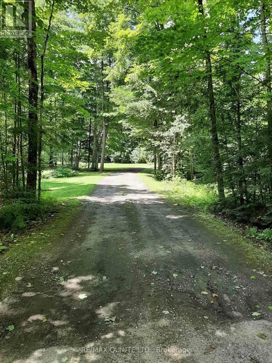 3247 Flinton Road, Addington Highlands, Ontario  K0P 1P0 - Photo 3 - X11881009