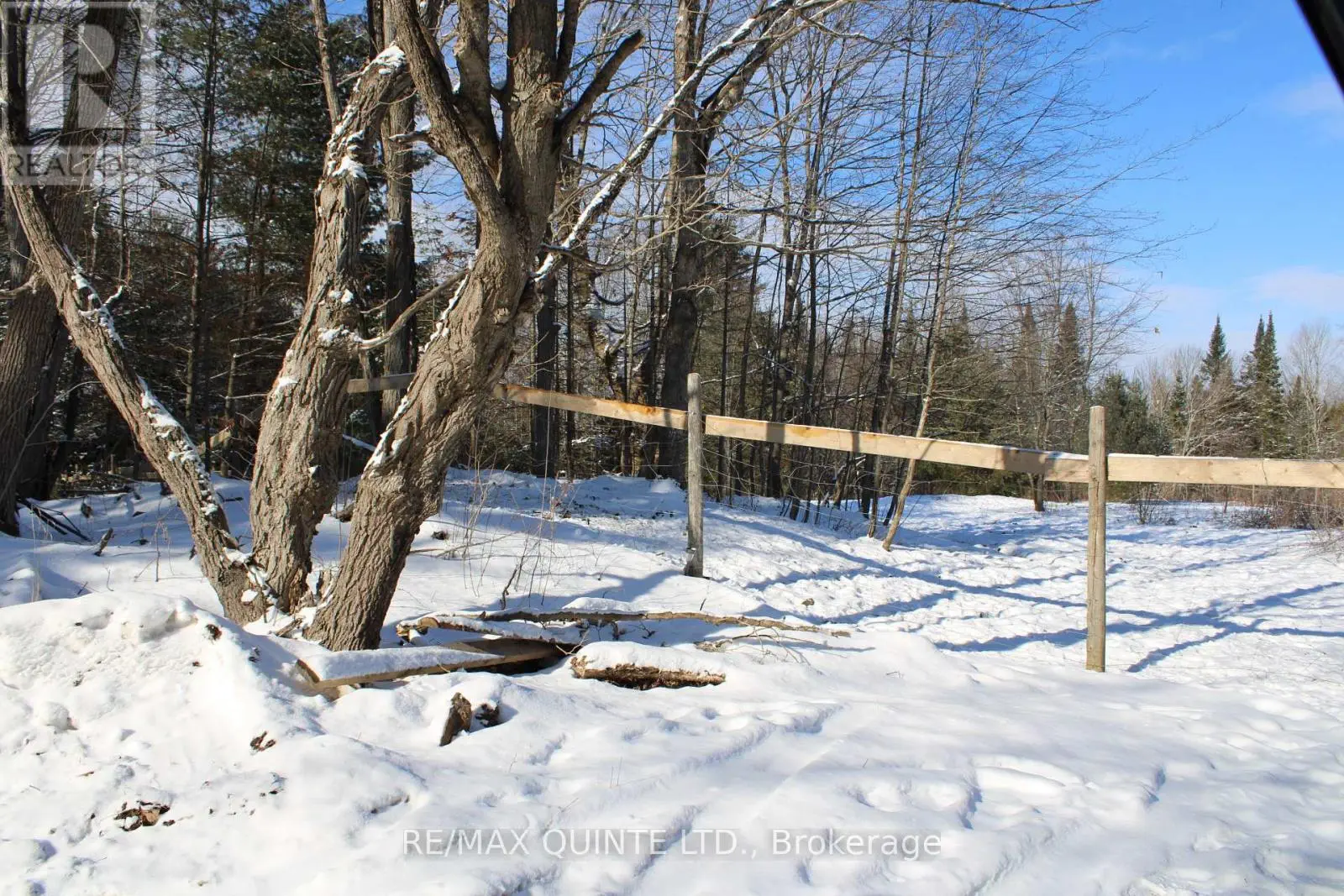 494 Twin Sister Lakes Road, Marmora And Lake, Ontario  K0K 2M0 - Photo 3 - X12084496