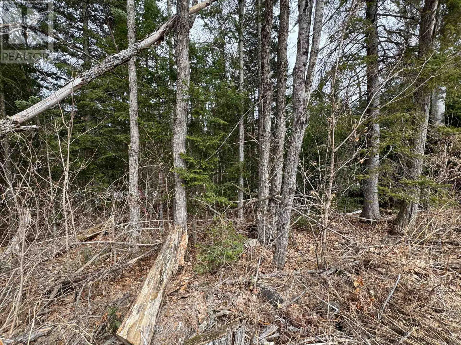 0 Mcpherson Road, Carlow/mayo, Ontario  K0L 1G0 - Photo 2 - X12085592