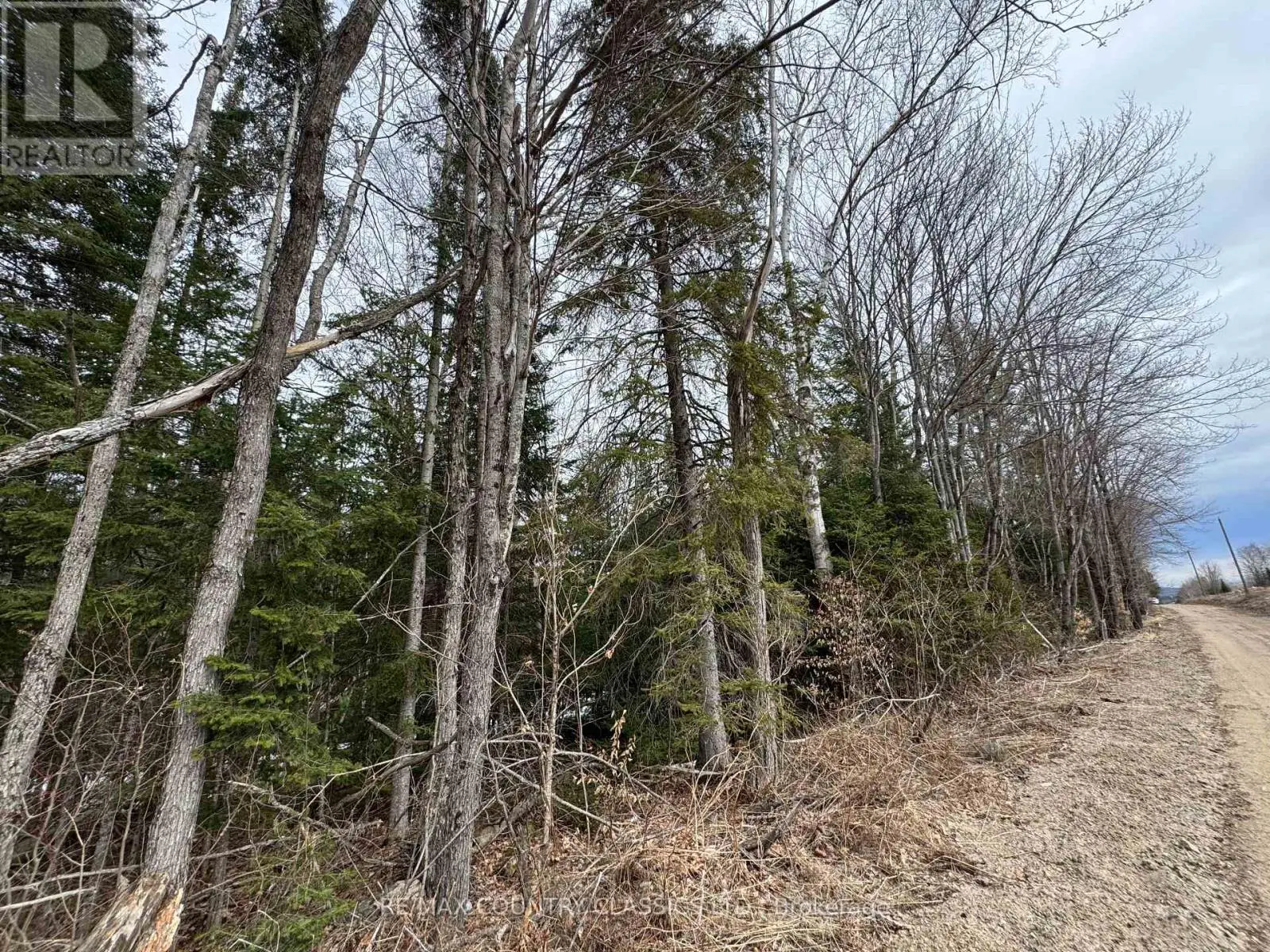 0 Mcpherson Road, Carlow/mayo, Ontario  K0L 1G0 - Photo 3 - X12085592