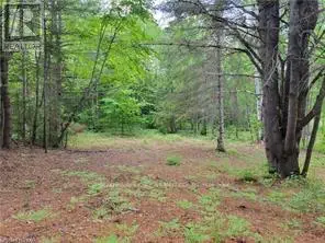 168 Airport Road, Faraday, Ontario  K0L 1C0 - Photo 1 - X12085669