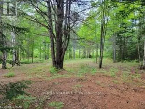 168 Airport Road, Faraday, Ontario  K0L 1C0 - Photo 2 - X12085669