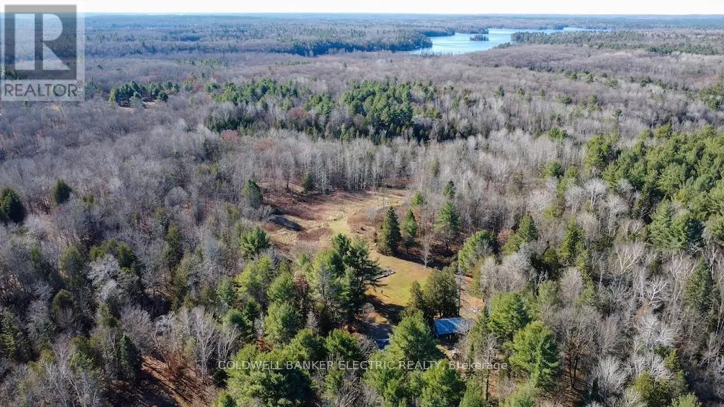 7050 Highway 28, North Kawartha, Ontario  K0L 1A0 - Photo 3 - X12085812