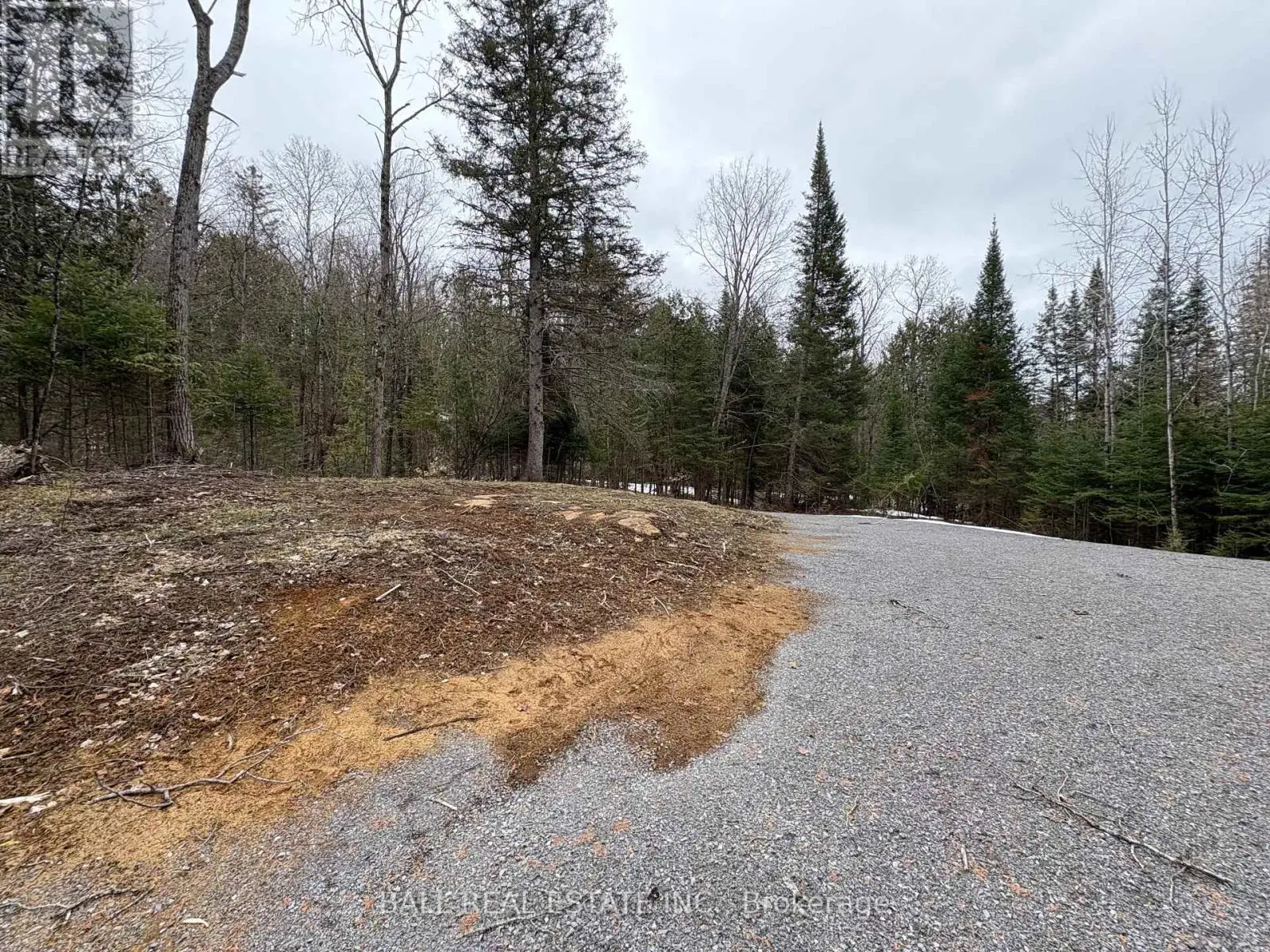 0 Rose Island Road, Wollaston, Ontario  K0L 1P0 - Photo 1 - X12030744