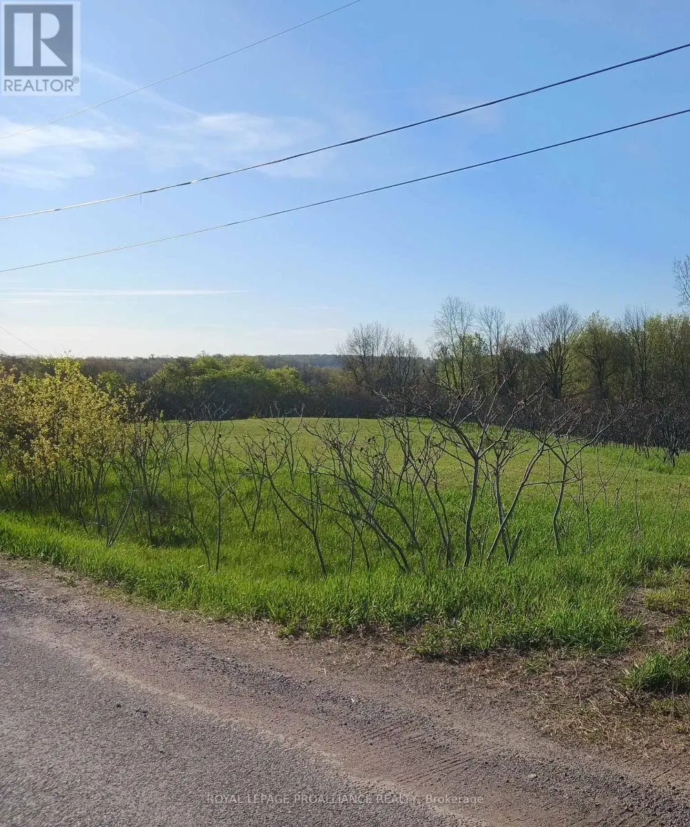 517 Downs Road, Quinte West, Ontario  K8V 5P6 - Photo 1 - X12083410