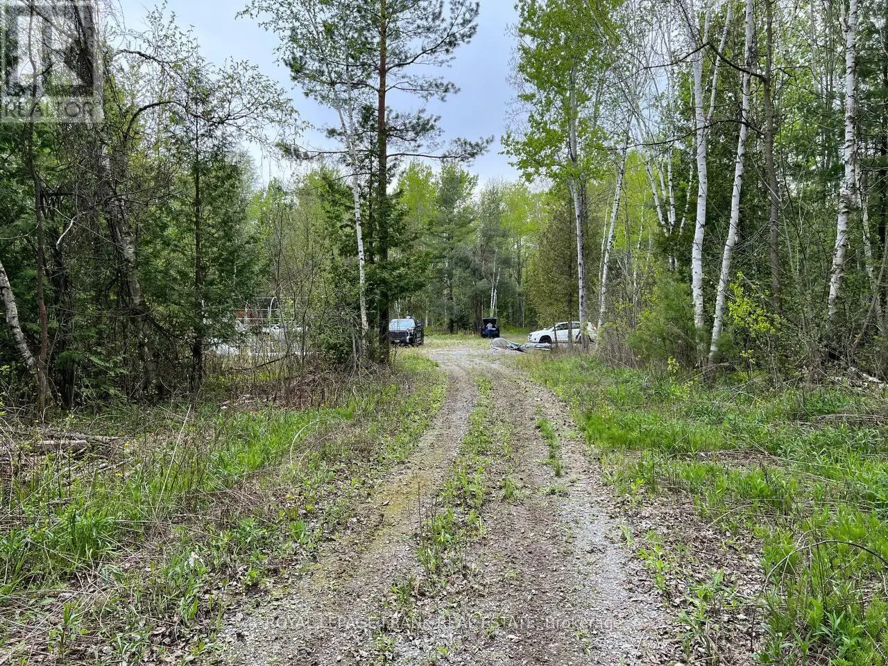 . Rutherford Road, Alnwick/haldimand, Ontario  K0K 1S0 - Photo 1 - X12087423