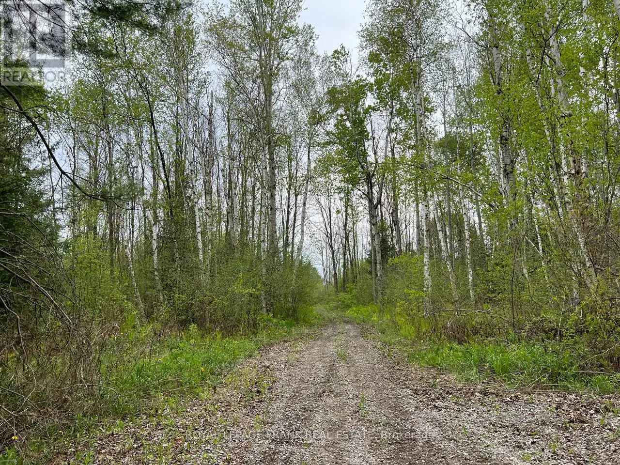 . Rutherford Road, Alnwick/haldimand, Ontario  K0K 1S0 - Photo 2 - X12087423