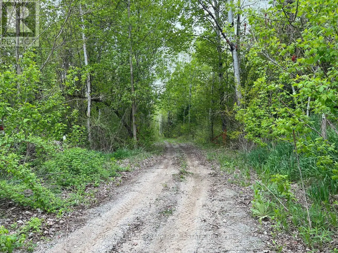 . Rutherford Road, Alnwick/haldimand, Ontario  K0K 1S0 - Photo 3 - X12087423
