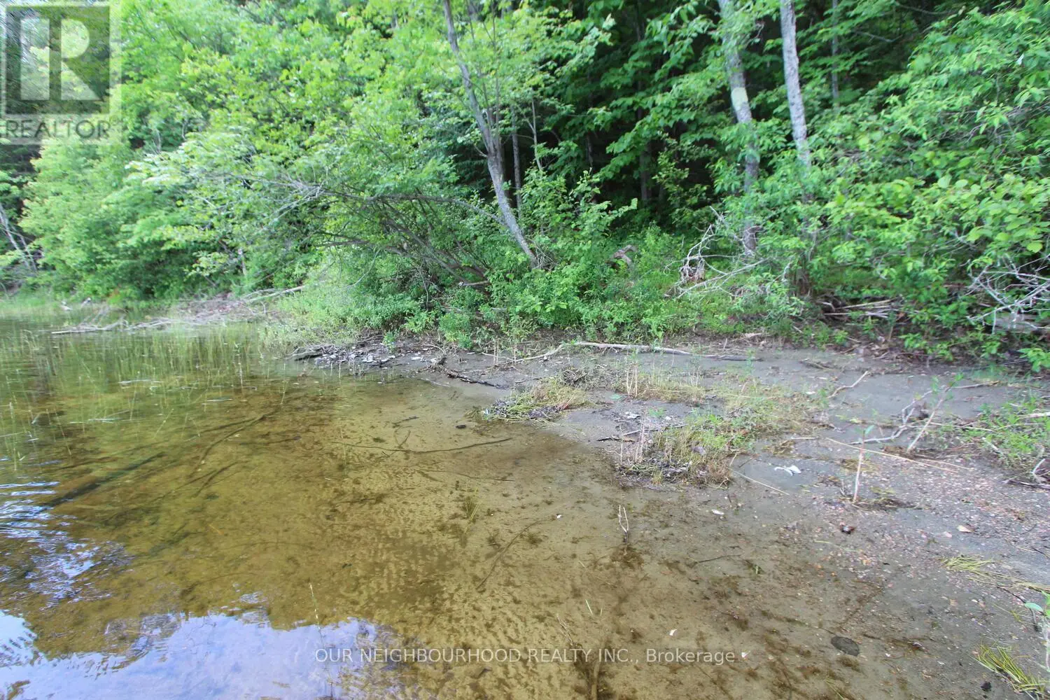 0 Tangamong Road E, Marmora And Lake, Ontario  K0K 2M0 - Photo 2 - X12087601