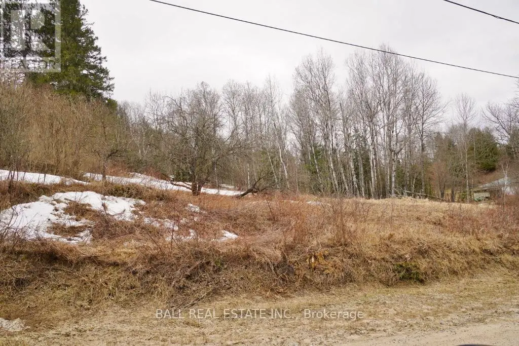 00 Old L'amable  Road, Bancroft, Ontario  K0L 1C0 - Photo 3 - X12088867