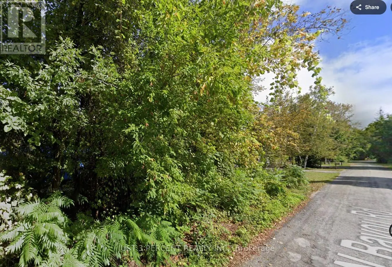 N/a North Bayou Road, Kawartha Lakes, Ontario  K0M 1N0 - Photo 3 - X12088972