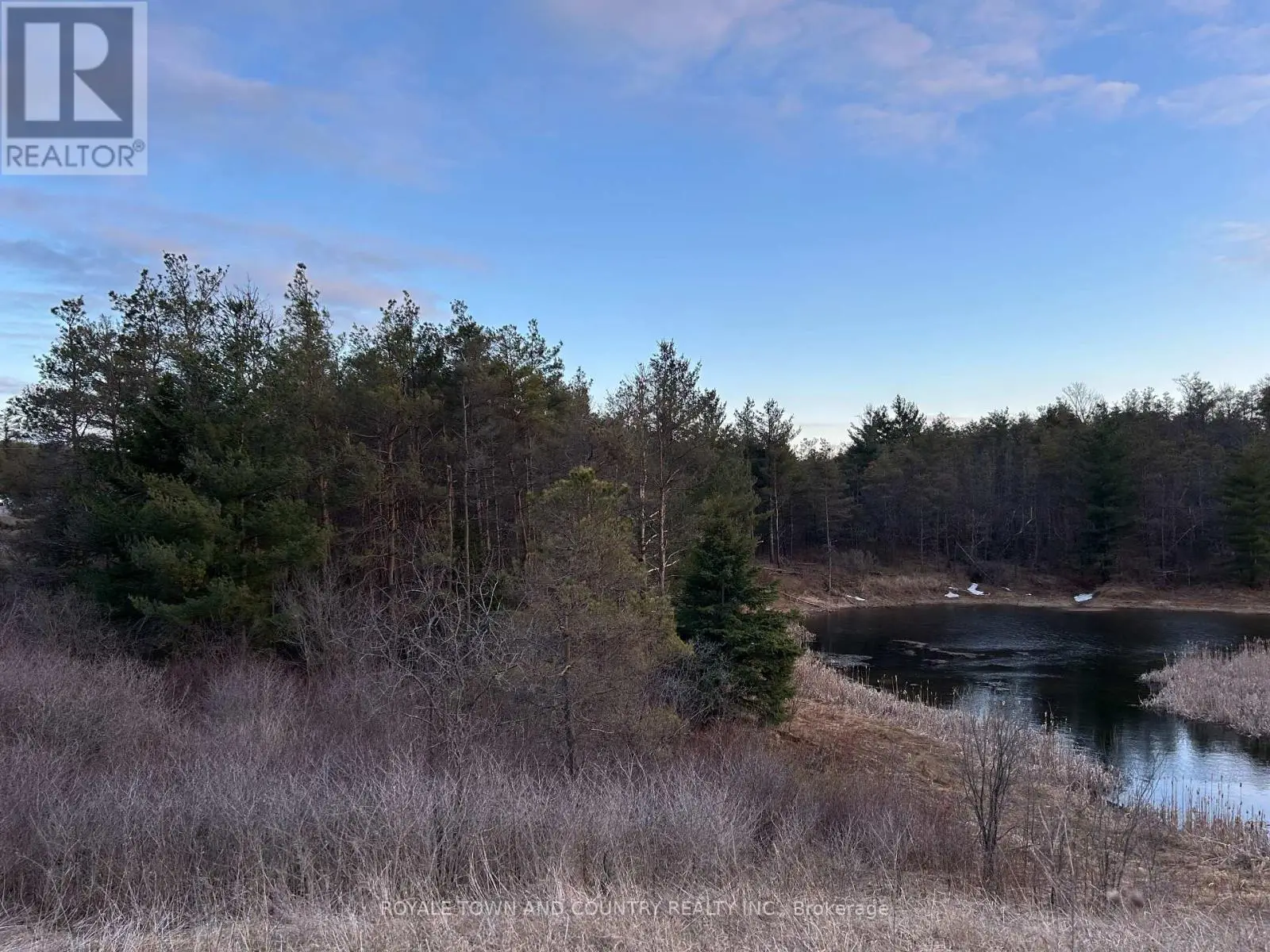 0 Highway 35, Kawartha Lakes, Ontario  L0A 1A0 - Photo 2 - X12081227