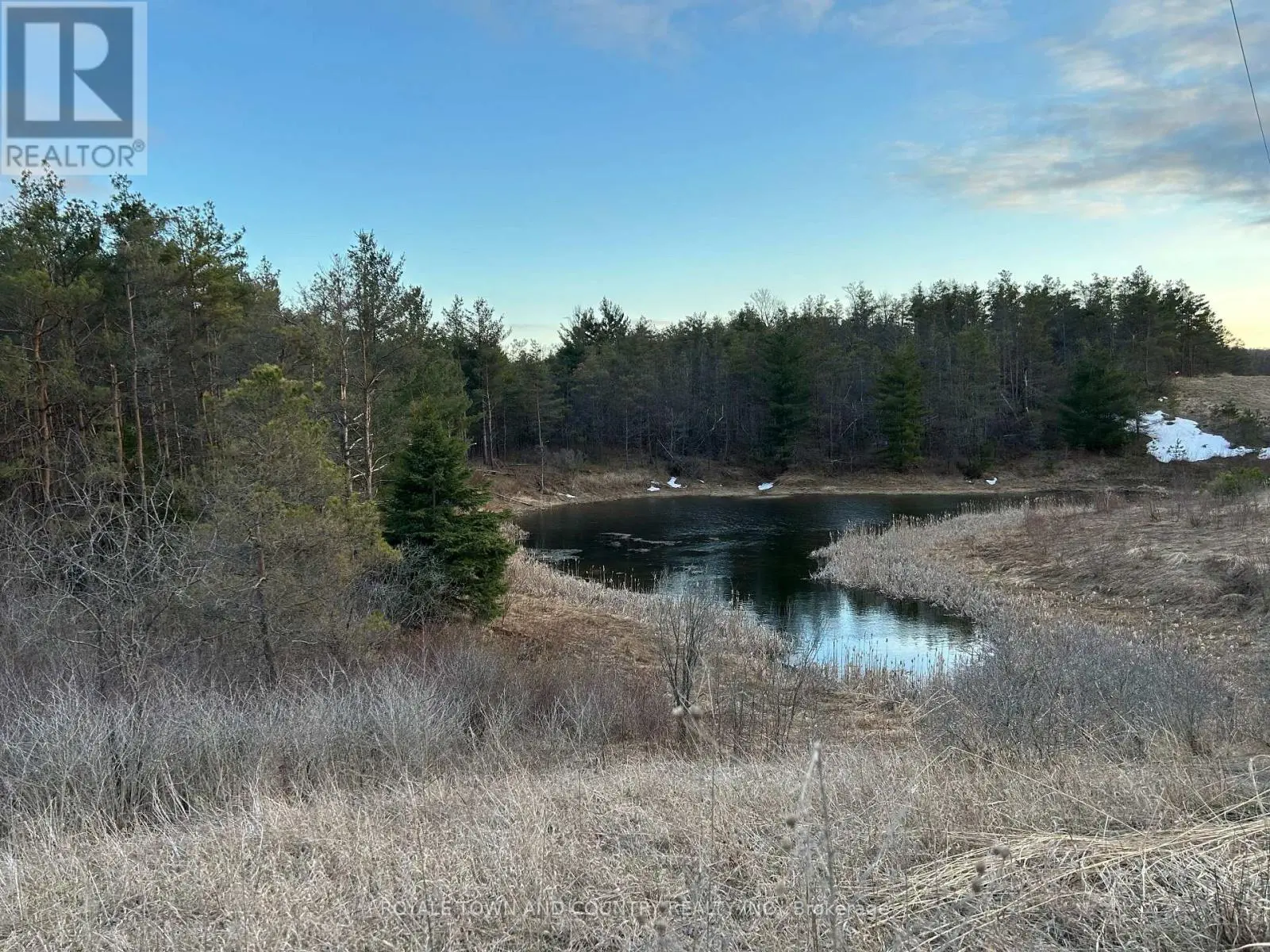 0 Highway 35, Kawartha Lakes, Ontario  L0A 1A0 - Photo 3 - X12081227