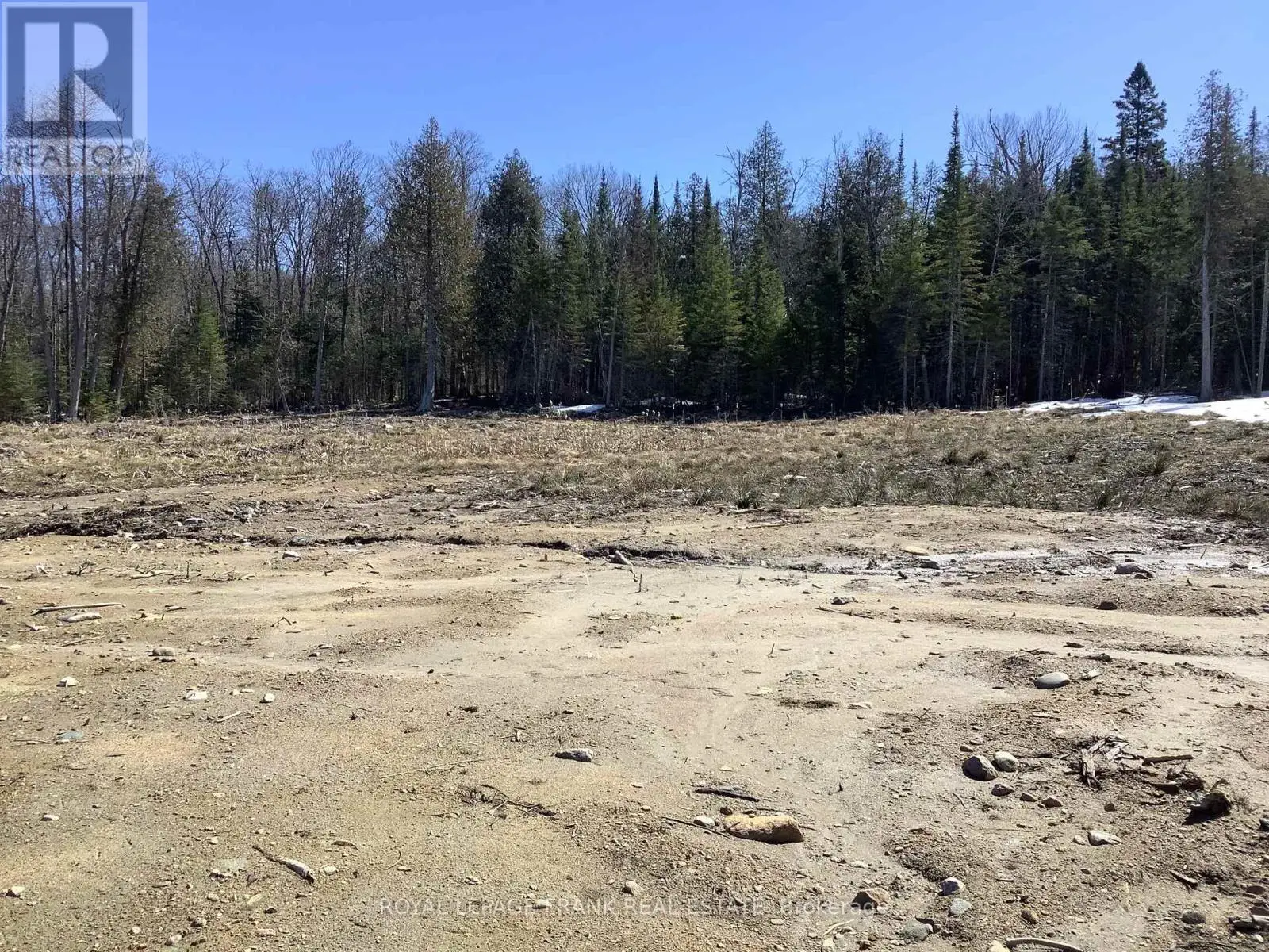 20833 Hwy 118, Highlands East, Ontario  K0L 3C0 - Photo 3 - X12087482