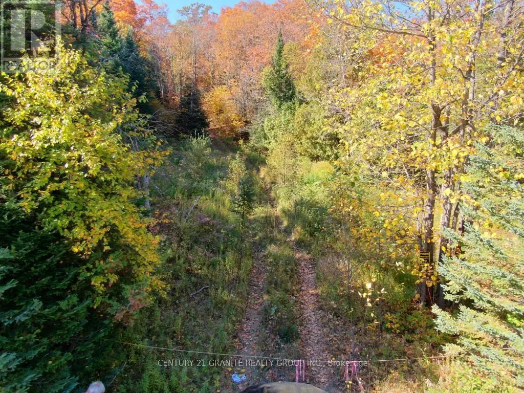 Con Ehr Pt Lot 25 M-25 Lot 4, Bancroft, Ontario  K0L 1C0 - Photo 1 - X12089962
