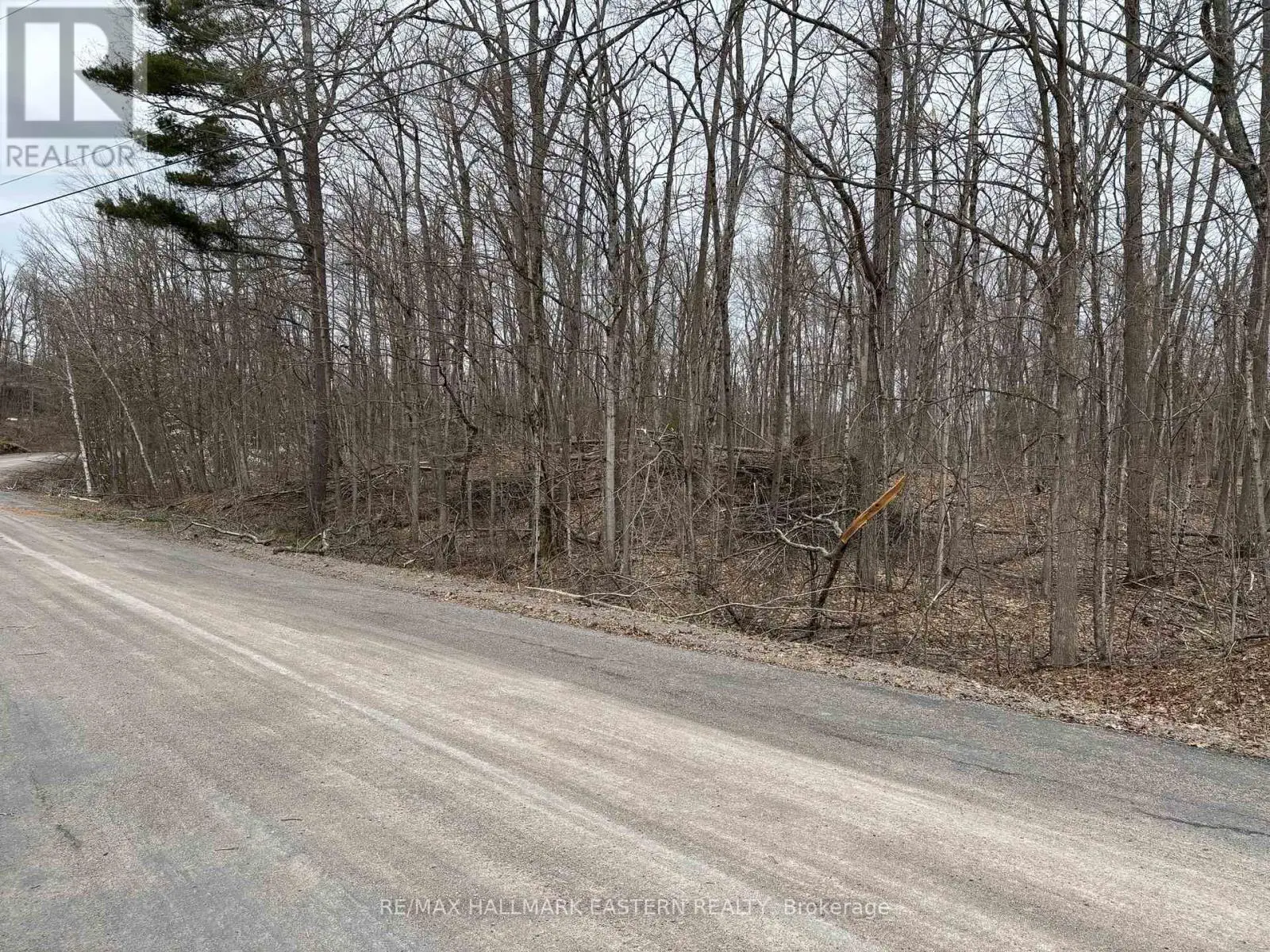 96 Woodland Court, Trent Lakes, Ontario  K0L 1J0 - Photo 2 - X12093572