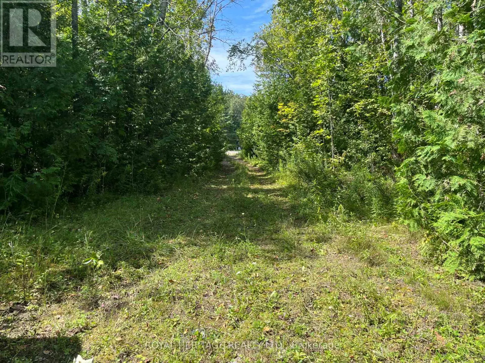 0 Sumcot Drive, Trent Lakes, Ontario  K9J 6X2 - Photo 1 - X11045900