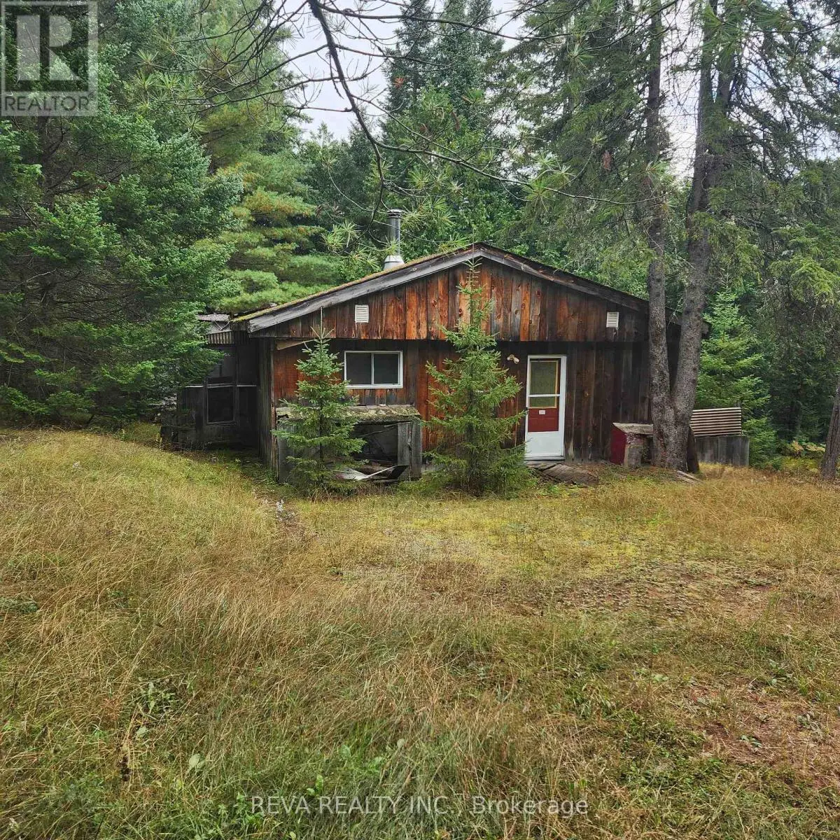 267 Bradshaw Road, Bancroft, Ontario  K0L 1C0 - Photo 3 - X12033971