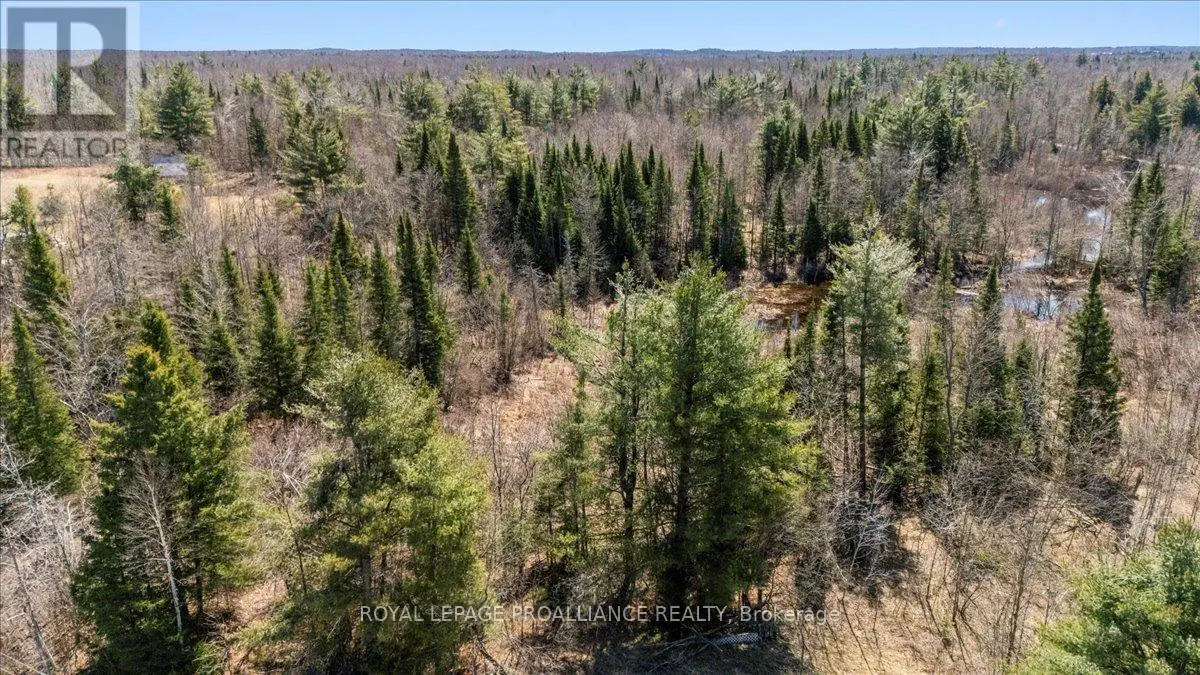 70 Bannockburn Road E, Madoc, Ontario  K0K 1Y0 - Photo 1 - X12096242