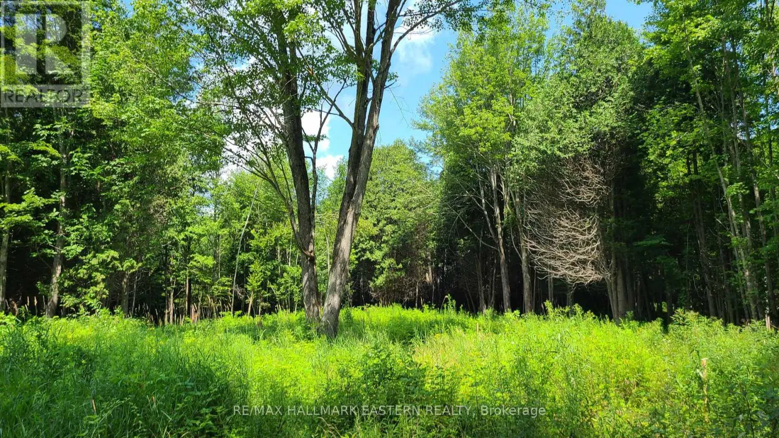 N/a Keating Road N, Havelock-Belmont-Methuen, Ontario  K0L 1Z0 - Photo 3 - X12099660