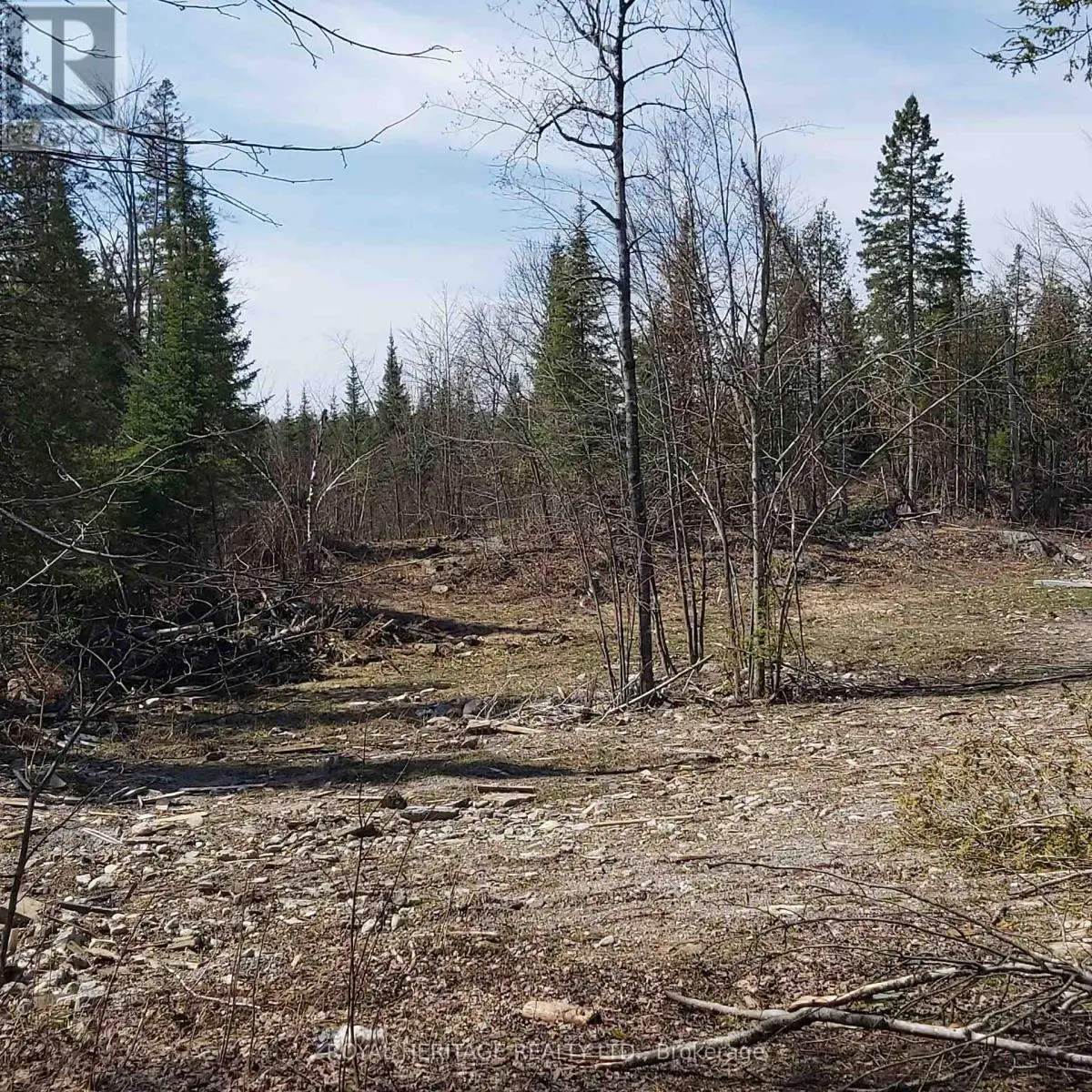 00 Bass Lake Road N, Trent Lakes, Ontario  K0M 1A0 - Photo 2 - X12101406