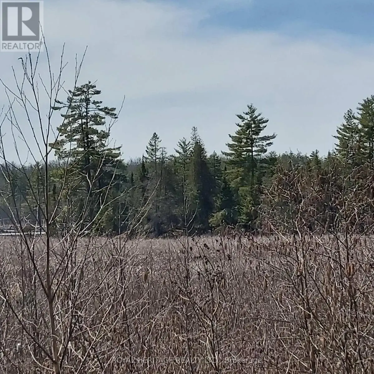 00 Bass Lake Road N, Trent Lakes, Ontario  K0M 1A0 - Photo 3 - X12101406