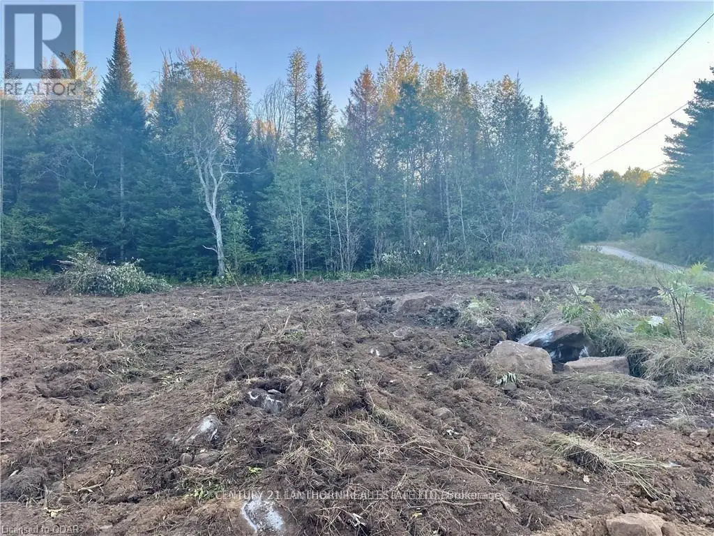 0 Stoney Settlement Road, Tudor And Cashel, Ontario  K0K 1Y0 - Photo 1 - X12105202