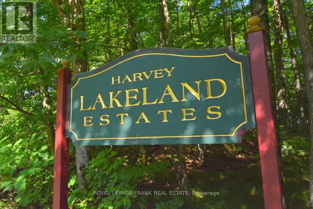 0 Hall Drive, Trent Lakes, Ontario  K0L 1J0 - Photo 1 - X12108314