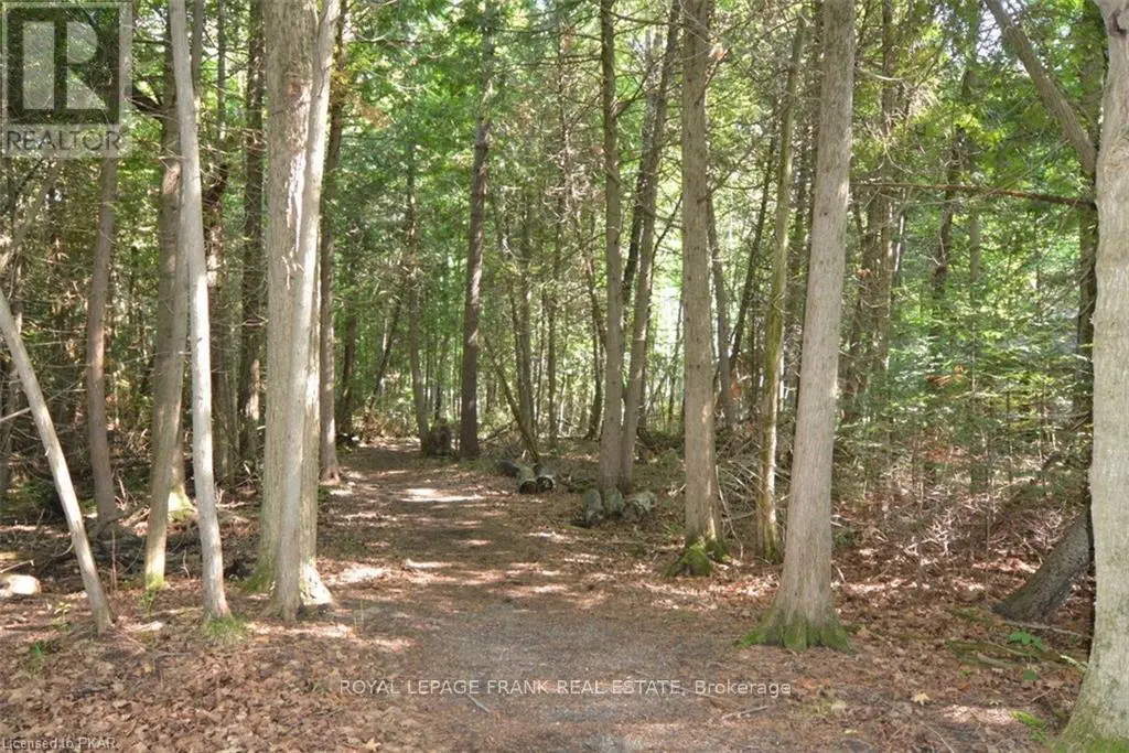 0 Hall Drive, Trent Lakes, Ontario  K0L 1J0 - Photo 2 - X12108314