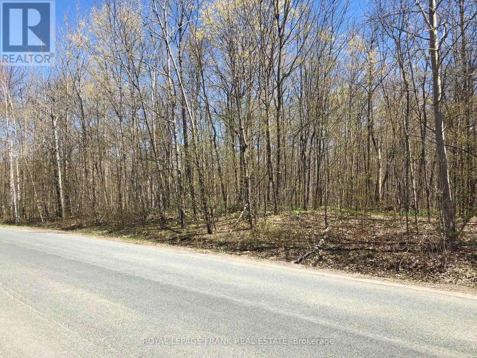 0 Hall Drive, Trent Lakes, Ontario  K0L 1J0 - Photo 3 - X12108314