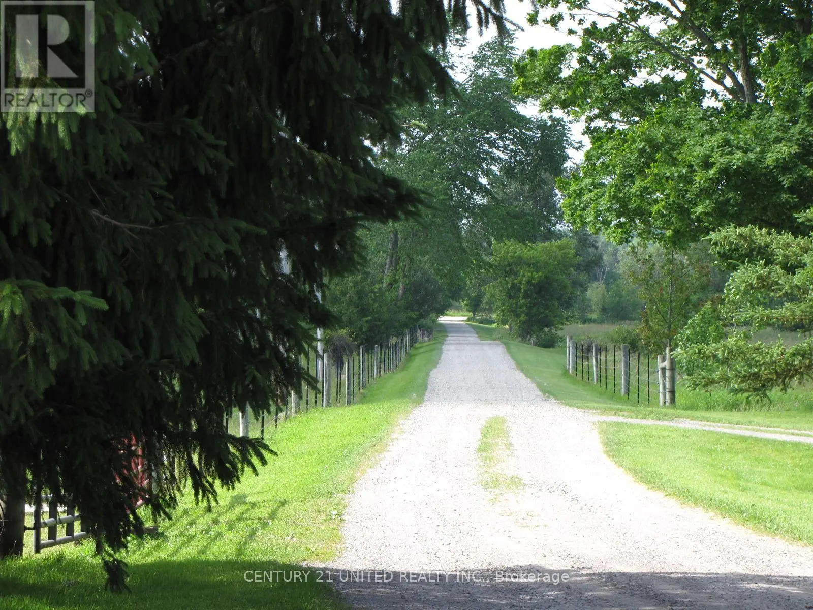 1281 7th Line, Smith-Ennismore-Lakefield, Ontario  K9J 6X5 - Photo 3 - X12109565