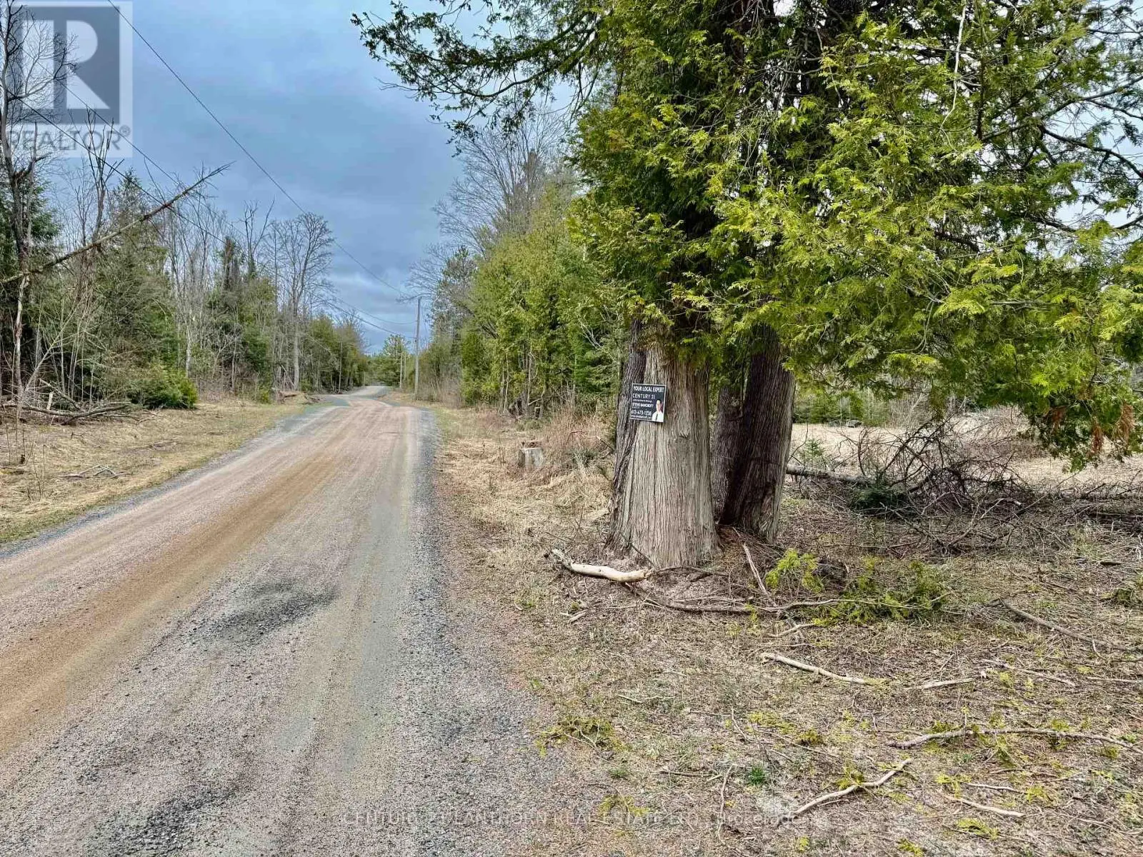 885 Cleveland Road, Tudor And Cashel, Ontario  K0K 1Y0 - Photo 3 - X12110014