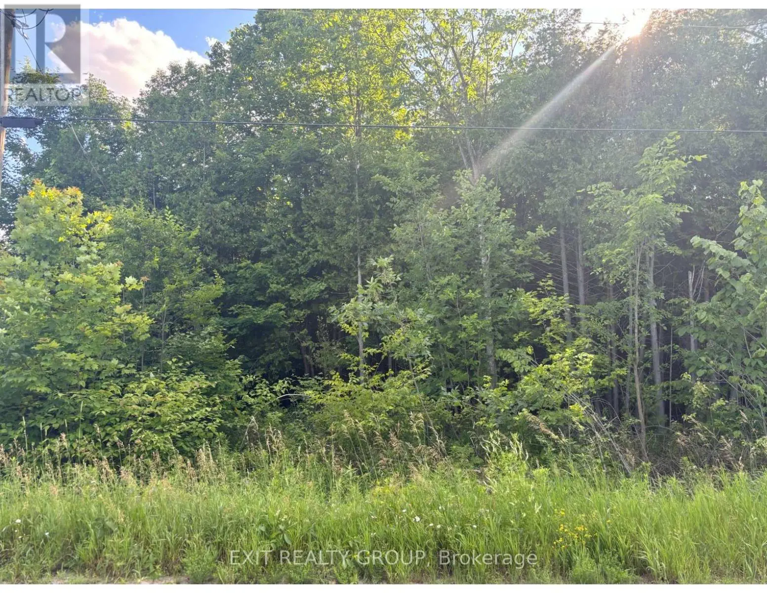 Lot 35 Viewmount Avenue, Trent Hills, Ontario  K0L 1Z0 - Photo 1 - X12110687