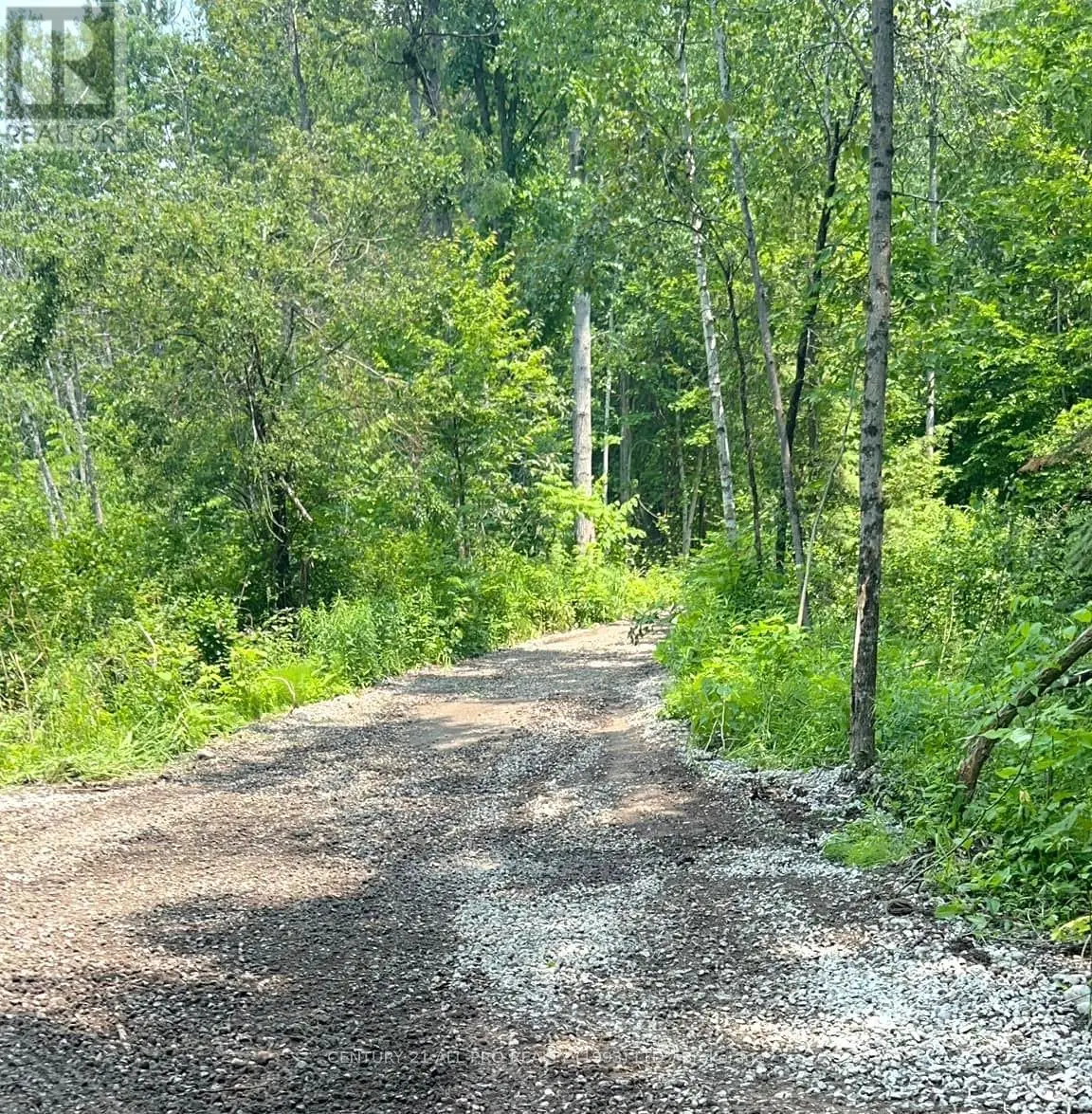 000 Baxter Road, Trent Hills, Ontario  K0L 1Y0 - Photo 2 - X11988459