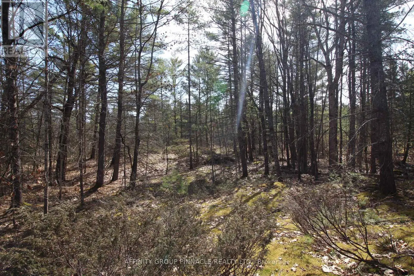 Lot 15 Concession 9, Trent Lakes, Ontario  K0L 1J0 - Photo 1 - X12112195