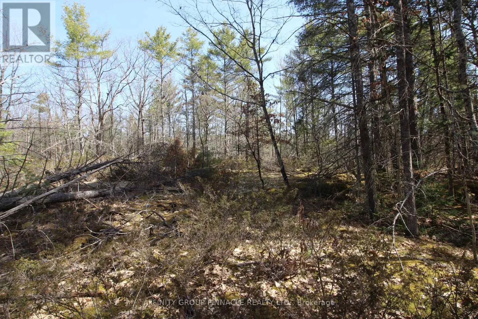 Lot 15 Concession 9, Trent Lakes, Ontario  K0L 1J0 - Photo 2 - X12112195
